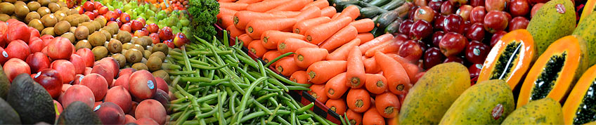 fresh produce panorama